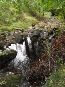 2010-Ierland (21)