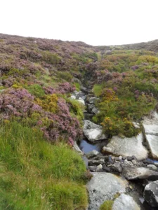 2010-Ierland (6)