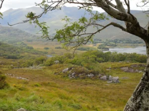 2011-Ierland (11)