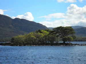 2011-Ierland (16)
