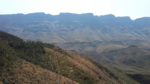 2016-Zuid Afrika (10)