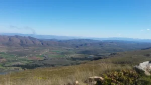 2016-Zuid Afrika (15)