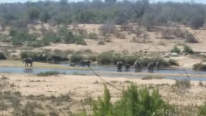 2016-Zuid Afrika (3)