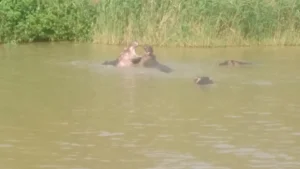 2016-Zuid Afrika (8)
