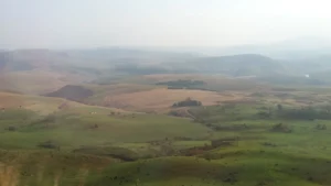 2016-Zuid Afrika (9)
