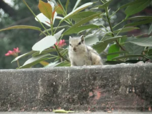 2013-Noord India (1)