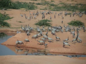 2013-Noord India (18)