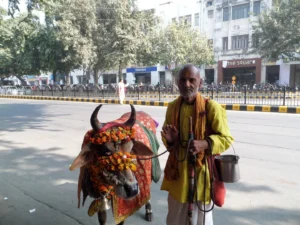 2013-Noord India (23)