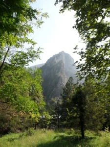 2014-Macedonië (13)
