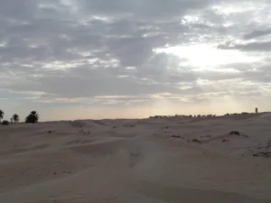 2014-Tunesië (12)