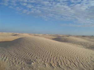 2014-Tunesië (13)