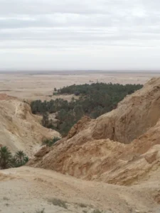 2014-Tunesië (8)