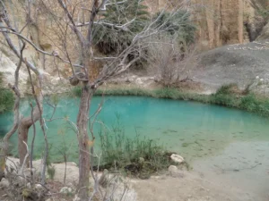 2014-Tunesië (9)