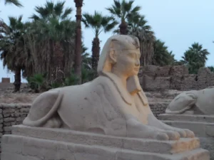 2015-Egypte (12)