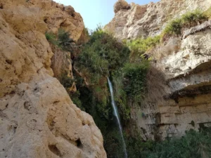 2017-Israël en Jordanië (17)
