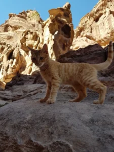 2017-Israël en Jordanië (30)