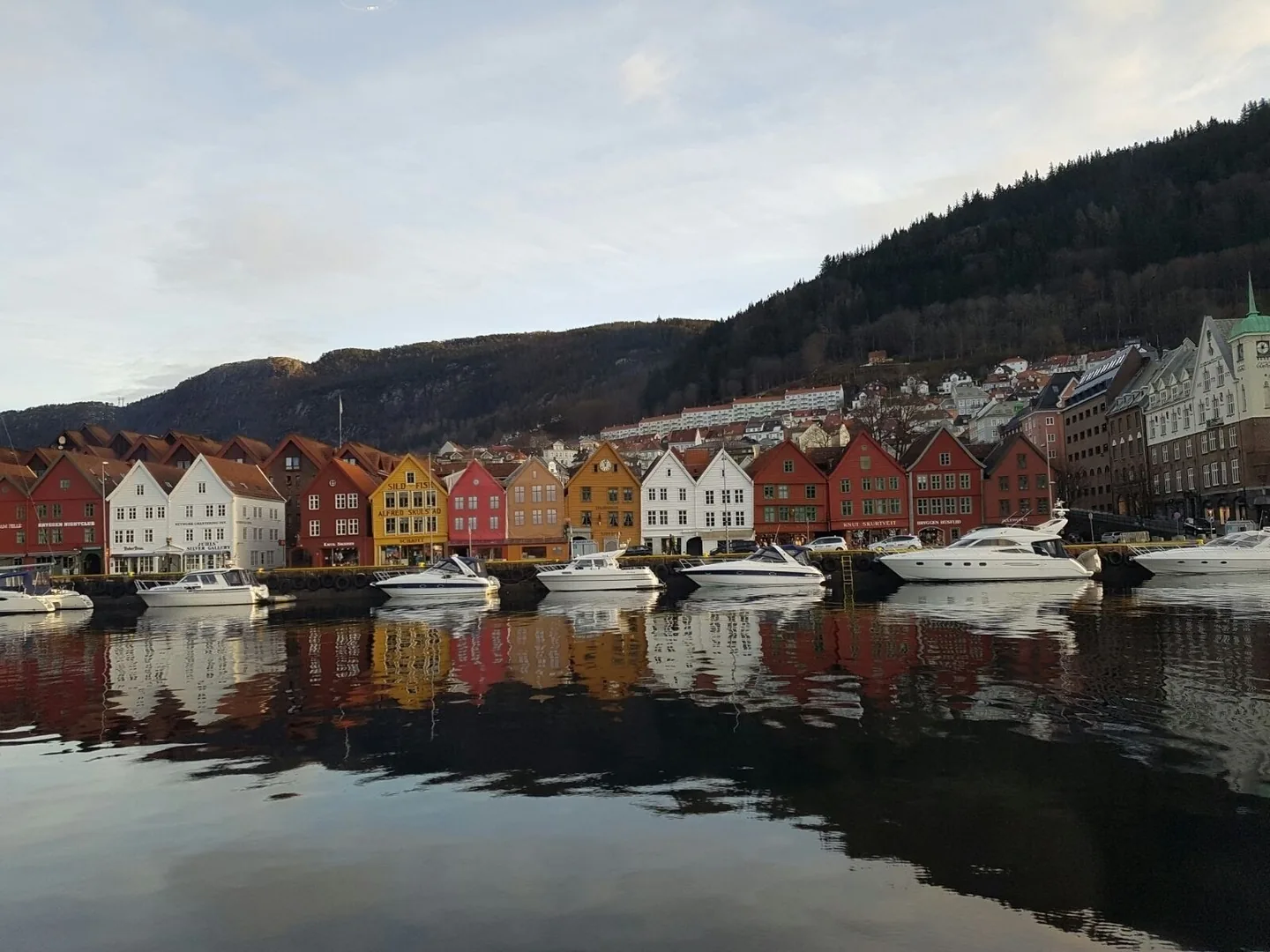 2017: Oslo en Bergen