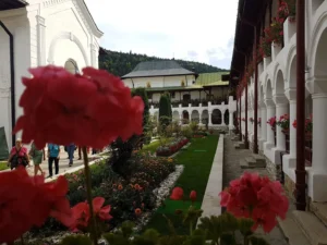 2018-Roemenië (14)