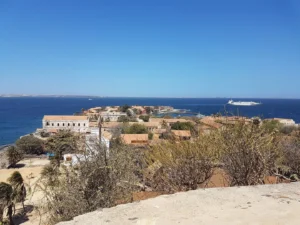 2018-Senegal (10)