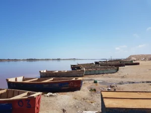 2018-Senegal (15)