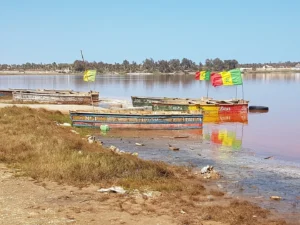 2018-Senegal (16)