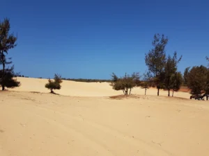 2018-Senegal (17)