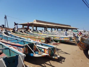 2018-Senegal (18)