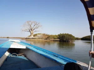 2018-Senegal (21)