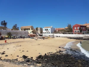 2018-Senegal (3)