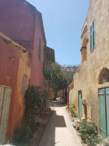 2018-Senegal (7)