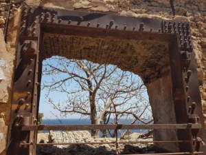 2018-Senegal (8)