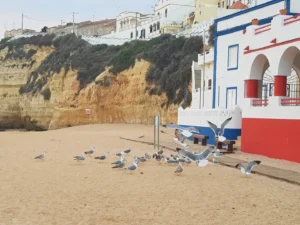 2019-Algarve (15)