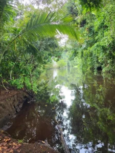 2023-Costa Rica (16)
