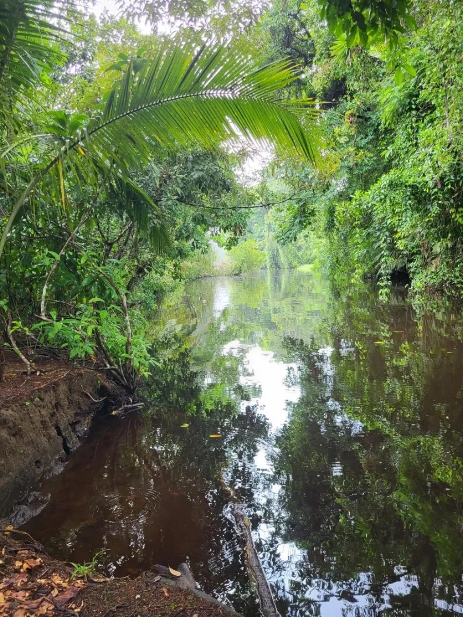 2023: Costa Rica