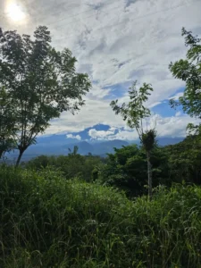 2023-Costa Rica (17)