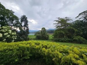 2023-Costa Rica (24)