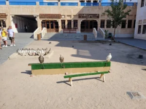 2023-Cruise Verenigde Arabische Emiraten (13)
