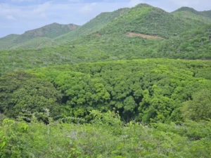 2023-Curacao (21)
