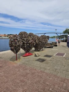 2023-Curacao (6)