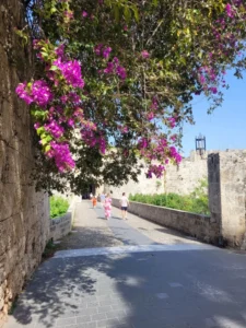 2023-Kos Rhodos (16)