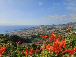 2023-Madeira (11)