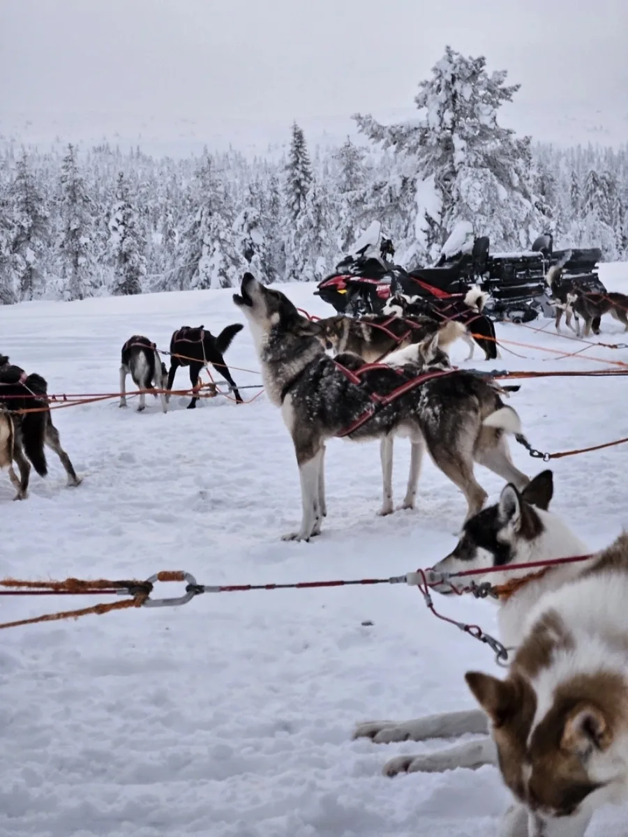 2023: Scandinavian Mountains