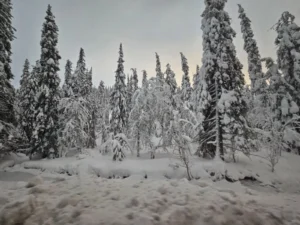 2023-Scandinavian Mountains (4)
