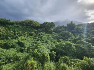 2025-Cruise Caribisch Gebied (26)
