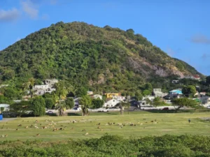 2025-Cruise Caribisch Gebied (30)