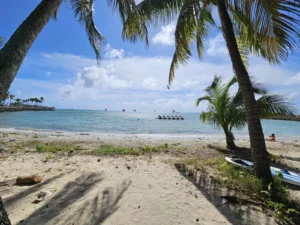 2025-Cruise Caribisch Gebied (4)